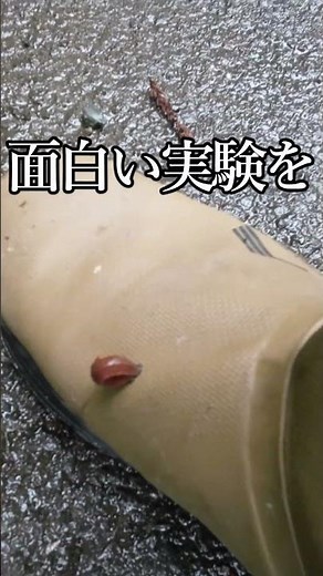 Camping Yamabiru mass outbreak Yamabiru measures Camp insect measures Yamabiru season Camping food