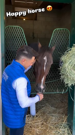 JUNIOR ALVARADO @jockeyjunioralvarado & SOVEREIGNTY reunited today at Del Mar and shared a lovely time together as the champ fights back and looks in excellent mood JUNIOR ALVARADO & SOVEREIGNTY se reencontraron hoy en Del Mar y compartieron un agradable momento donde el campeón doblecoronado demostró alegría y buena actitud | Agentes 305
