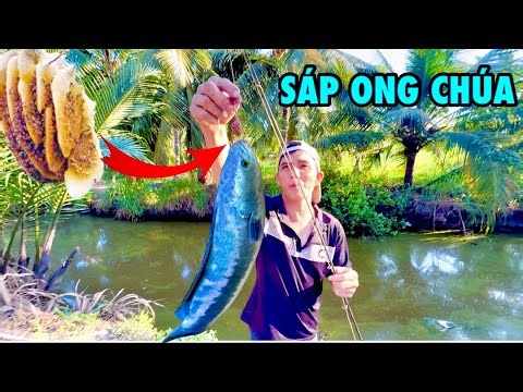 Câu Cá Lóc Bông Bằng Nháy Hơi Tự Chế Bị Cá Táp Đứt Mồi|ATK