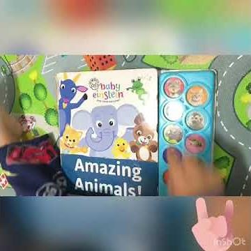 BAby Einstein’s baby Animals sound