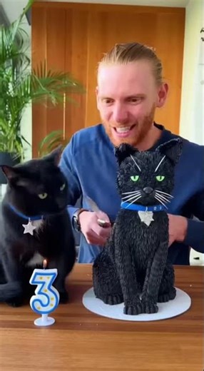 Real Cat vs. Hyper-Realistic Cat Cake! Hilarious Birthday Surprise 🎂😹