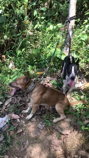 Duo baby alien‼️