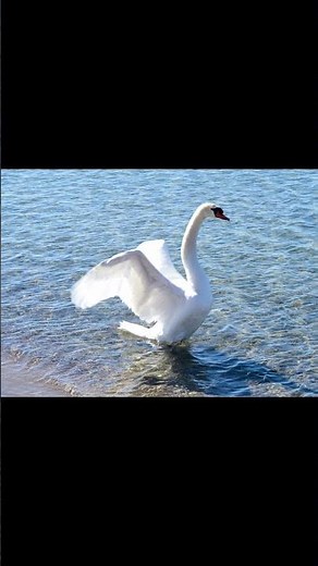 Best DSLR ever made - Nikon D850 with the Nikon 50mm F1.8