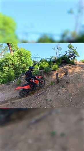 The boys trying the big climb