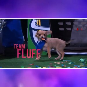 It's Team Ruff vs. Team Fluff on the next PUPPY BOWL #KellyClarksonShow with special refs Anna Faris and Tony Gonzalez! | The Kelly Clarkson Show