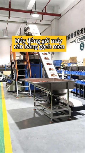 Máy Đóng Gói Bộ Điều Chỉnh Gạch Đá - Tăng Hiệu Suất Sản Xuất Cho Dự Án Xây Dựng Của Bạn