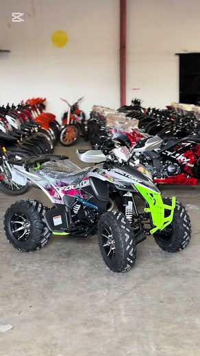 Factory Cobra Kai 250cc: 2025 Model Overview