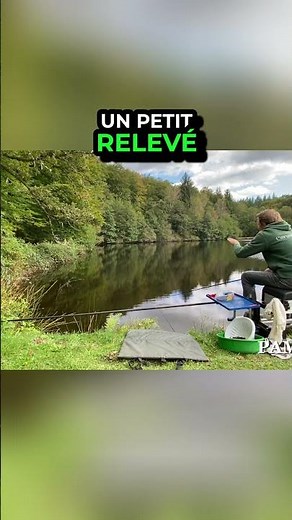Fishing: This subtle lure drives carp wild! #shorts
