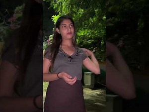 sonagachi red light area new vlog | red light area inside room live kolkata | red light area live