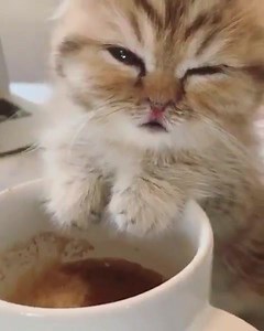 50K views · 711 reactions | Pasando visita de post-guardia | Memes Hospitalarios | Facebook