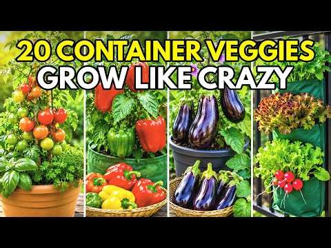 20 Vegetables That Thrive In Containers More Than Garden (Plant Once, Eat Forever)
