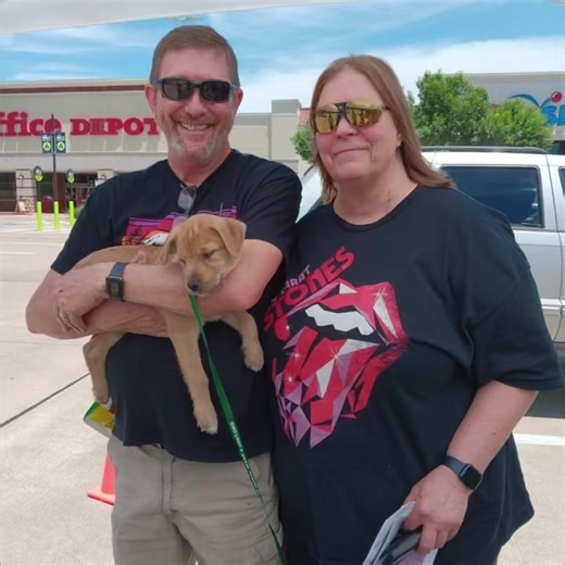 31K views · 2.6K reactions | What a pawesome weekend we had with our PetSmart Adoption Events! Just look at these happy faces?! 殺 PetSmart Charities | Humane Society of North Texas | Facebook