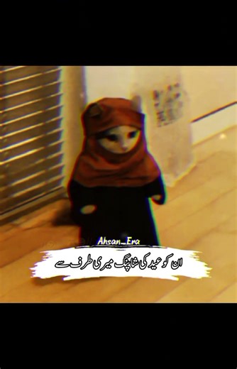 Eidi K Liye Message Krdo 👈😂🐱🛍️ | Urdu Cat Poetry | Ahsan Era Cats