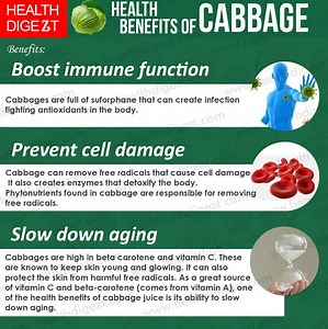 44K views · 1K reactions | Health Benefits of Cabbage | Health Digest | Facebook
