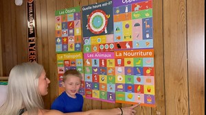 French Classroom Posters Six Pack - Each Poster is 13 x 17 inches and Dry-Erase. Educational French Language Posters Include: Food, Animals, Transport, Objects, Opposites & Time. Made in USA.