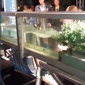 This scale model showing how mangrove forests protect coasts from wave erosion 🌊 | UNILAD Tech