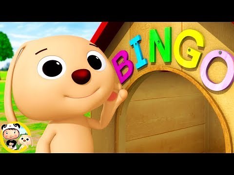 Puppy Called BINGO! | Little Baby Bum Animal Club | Fun Songs for Kids