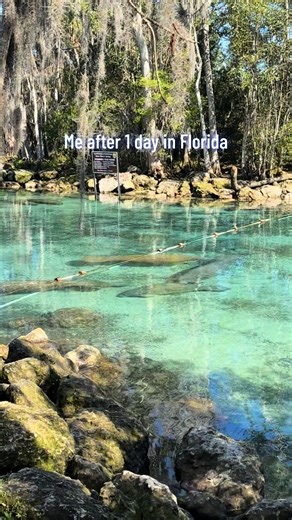 #florida #crystalriver