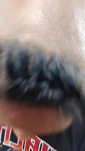 Got My First Braids: Exotic Handsome Hair Experience