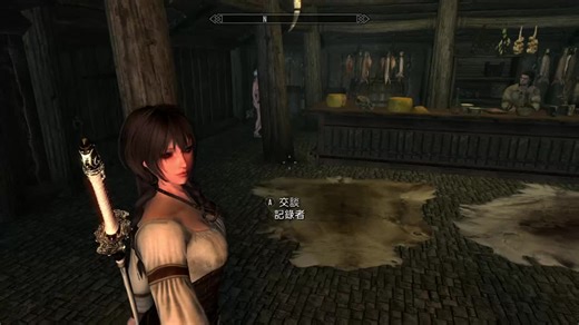 NS 上古卷轴5 随从mod 录音姬v3.0（原版+美化） 测试