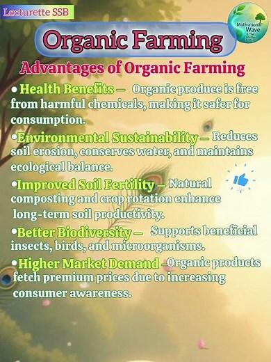 🌱 Advantages of Organic Farming | Why Going Organic Matters
