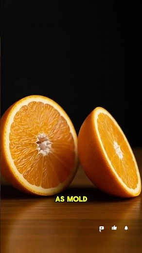 Timelapse~Orange Gone Wrong!