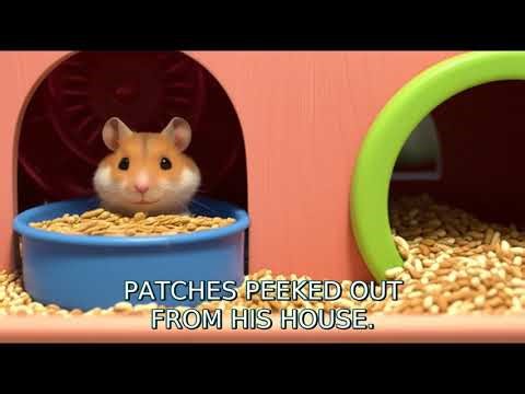 The Girl Who Learned Responsibility | Read Aloud Stories for Kids