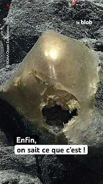 Abyssal zone: the golden sphere found in 2023 has finally been identified #short #science