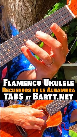 TABS: Recuerdos de la Alhambra Flamenco Ukulele