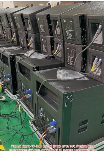 Tianba 10-Inch Active Linear Array Set for Mobile Performances