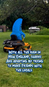 32K views · 343 reactions |  Breaking News  Our neighbors our officially sick of us!  but seriously, evolution is happening due to rain in New England!  What?! You’ve never seen a shark Stephy?! #newengland #weather #funny #sharks #newenglandcouple #newenglandhumor #newenglandweather | The New England Couple | Facebook