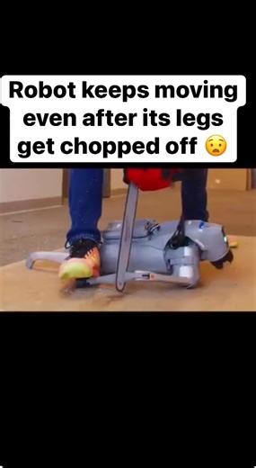 An engineer from a startup called Skild AI is hacking off the limbs of a robot dog with a chainsaw — in, what the company is very quick to add, is a demonstration that "we built a robot brain that nothing can stop." To construct what it’s calling an “omni-bodied robot brain,” Skild trained an AI to “control not just one robot, but a whole multiverse of robots with different bodies,” according to a blog post. “It cannot memorize the solution for one body, it must find a strategy that works across