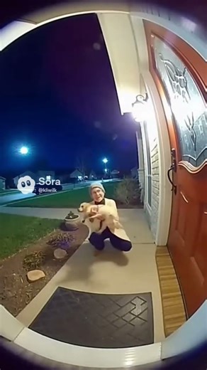 puppy explosion 💥 #sora #funny #dog #funnydog #animals