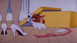 The Best funny cartoon clip Tom and Jerry. #funnyvideo #cartoon #tomandjerry #jerry #funnyvideo | Cartoons Clip HD