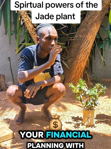 Spiritual Power of Jade Plant for Enlightenment