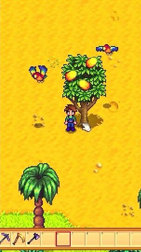 What is the best fruit tree in Stardew Valley?