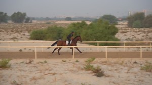 8.3K views · 82 reactions | Splendid isolation...  Action on our small track, which is in operation during the summer months. | RacingDubai | Facebook