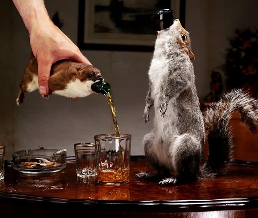 The Story of the World's Strongest Beer and Why It's Inside a Squirrel | OutdoorHub