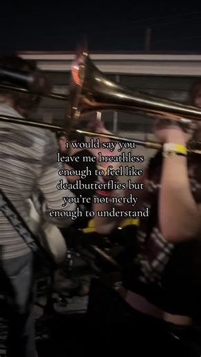 Understanding the Lyrics of 'Dead Butterflies'