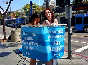 How to Go Vegan in 5 Easy Steps. | elephant journal