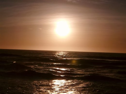 Summer Vibes with Digital Camera