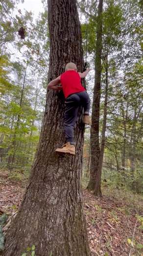“This is how you climb a treestand.” #deerhunting #bowhunting #treestand #hunting #thankyoujesus