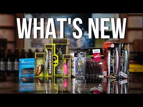 What's New This Week - Sunday Deals, Limited BFS Glidebait, Raid color additions and more!