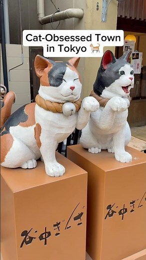 Cat-Obsessed Town in Tokyo 🇯🇵🐈