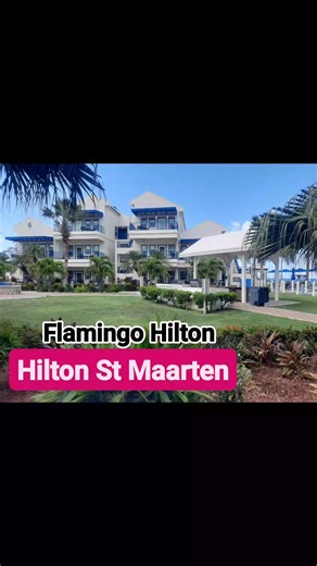 HILTON - Flamingo Beach Resorts... Waves, poolside vib @es, and sunsets that never get old 🌴☀️ Welcome to Flamingo Beach Resort in Simpson Bay. #FlamingoBeachResort #StMaarten #SimpsonBay #CaribbeanVibes #BeachLife #IslandEscape #SXM | I LOVE ST. MAARTEN