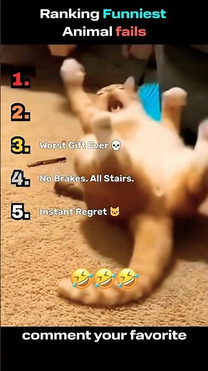 I Ranked the Funniest Animal Fails Ever 😂 #viral #funny #funnypets