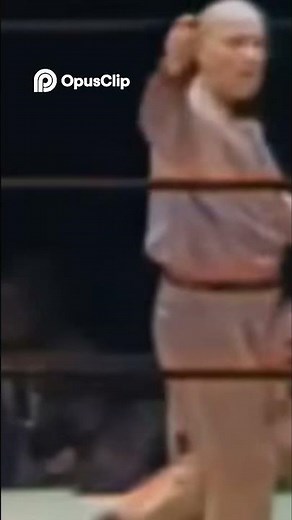 Knockout Blow! Slow Mo Boxing Analysis & Epic Referee Intervention