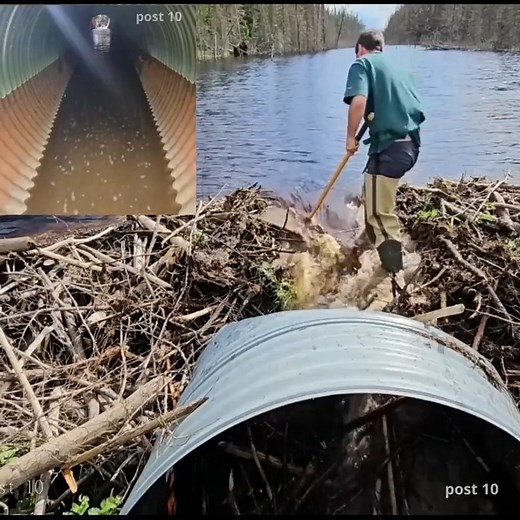 Part 1 Massive Unclogging Culvert | Post10