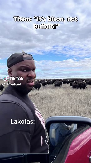 The Cultural Significance of Buffalo to the Lakota