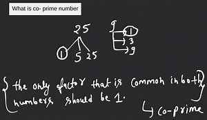 What is co- prime number... | Filo